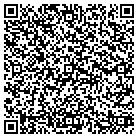 QR code with Blue Ridge Balloon CO contacts