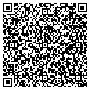 QR code with Carl's Store & Deli contacts