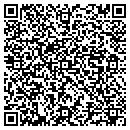 QR code with Chestnut Publishing contacts
