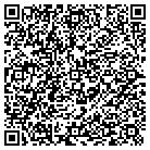 QR code with Plumtree Video-Audio Services contacts