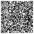 QR code with Cirtical Care Systems contacts