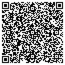 QR code with Carl's Game Station contacts