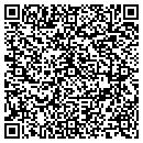 QR code with Biovideo Games contacts