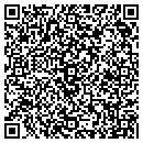 QR code with Princeton Review contacts