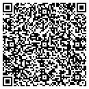 QR code with Crystal Tree Design contacts