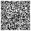 QR code with Puritylink contacts
