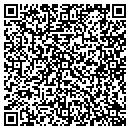 QR code with Carols Wig Boutique contacts