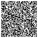 QR code with Carter Group Inc contacts