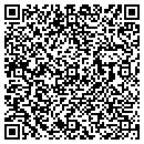 QR code with Project Safe contacts