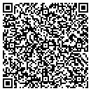 QR code with Carol Hinman PhD Lmhc contacts