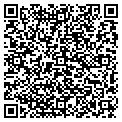 QR code with Coffee contacts