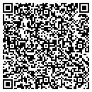 QR code with Publicover Associates contacts