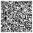 QR code with Capozzoli Kathleen A contacts