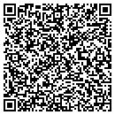 QR code with Carter Lisa L contacts