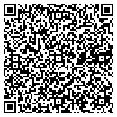 QR code with Blueberry Fields contacts
