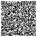 QR code with Blue Water Masonry Inc contacts