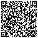 QR code with I T contacts