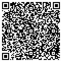QR code with Dsvs contacts