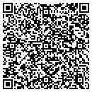QR code with Project Insight Inc contacts