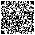 QR code with Ymca contacts