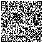 QR code with Blue Ridge Window Works contacts