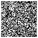 QR code with Carl's Installation contacts