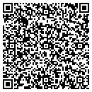 QR code with Cayl Institute Inc contacts