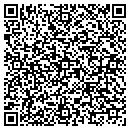 QR code with Camden Falls Gallery contacts