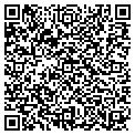 QR code with Afscme contacts