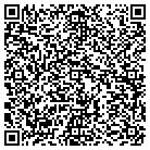 QR code with Terry Hanley Audio System contacts