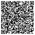 QR code with Afscme contacts