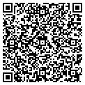 QR code with Afscme contacts