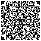 QR code with Baldwin Signs & Awnings contacts