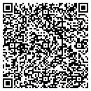 QR code with Bobbi & the Strays contacts