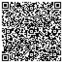QR code with Cellular Connections contacts