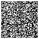 QR code with Cosmetic Cosmos LLC contacts