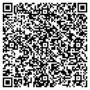 QR code with Ctnpikr's Electronics contacts
