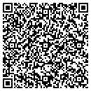 QR code with Pyro Spectaculars contacts
