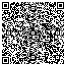 QR code with Capt D S Firework S contacts