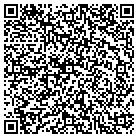 QR code with Blue Waters Pools & Spas contacts