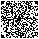 QR code with Blue Waters Pools & Spas contacts