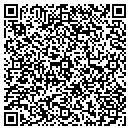 QR code with Blizzard Ice Inc contacts