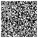 QR code with Pylon Mortgage Corp contacts
