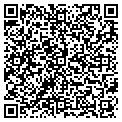 QR code with Bethel contacts