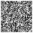QR code with Pro House Painting contacts