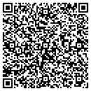 QR code with Carruth Alan-Luthier contacts