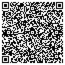 QR code with Blue Flame Music LLC contacts