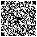 QR code with Castle Valley Eyecare contacts
