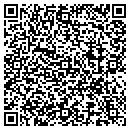 QR code with Pyramid Audio/Video contacts