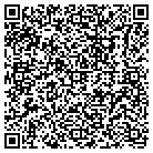 QR code with Publishers Circulation contacts